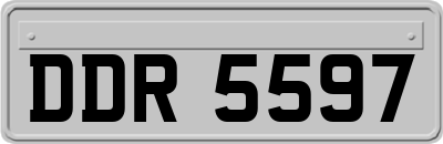 DDR5597