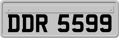DDR5599