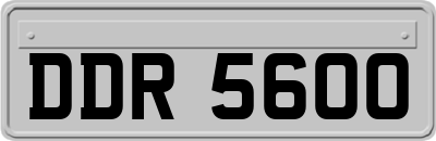 DDR5600