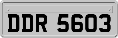 DDR5603