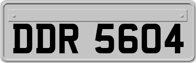 DDR5604