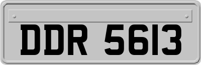 DDR5613