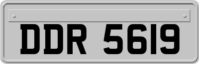 DDR5619