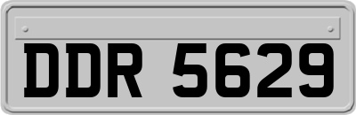 DDR5629