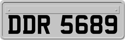 DDR5689