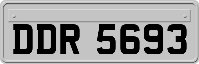 DDR5693