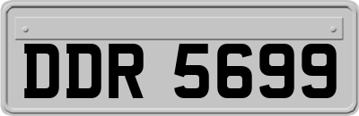 DDR5699