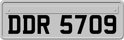DDR5709