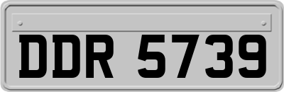 DDR5739