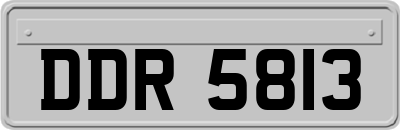 DDR5813