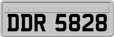 DDR5828