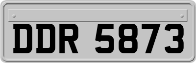 DDR5873