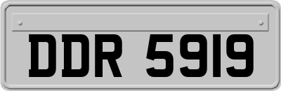 DDR5919