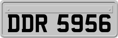 DDR5956