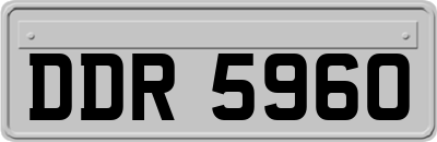 DDR5960