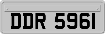 DDR5961