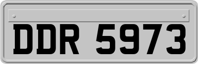 DDR5973