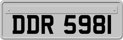 DDR5981