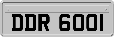 DDR6001