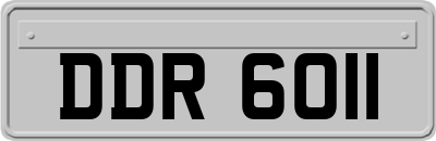 DDR6011