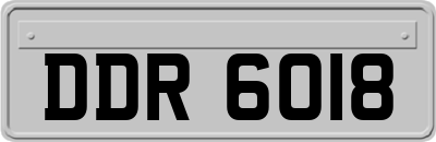 DDR6018