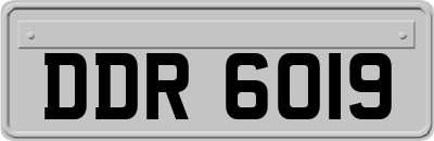 DDR6019