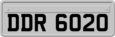 DDR6020