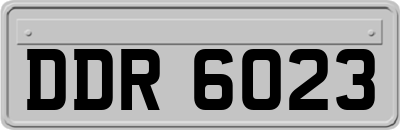 DDR6023
