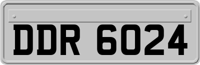 DDR6024