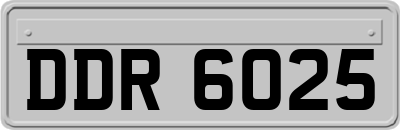 DDR6025