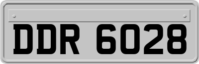 DDR6028