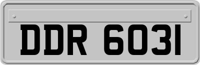 DDR6031