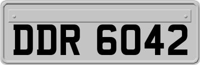 DDR6042