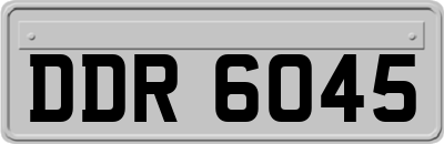DDR6045