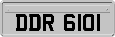 DDR6101