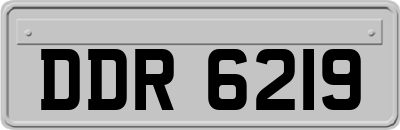 DDR6219