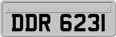 DDR6231