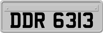 DDR6313