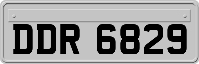 DDR6829