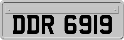 DDR6919
