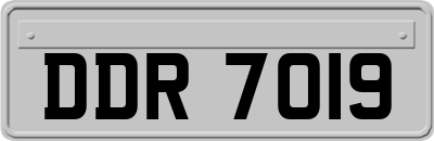 DDR7019