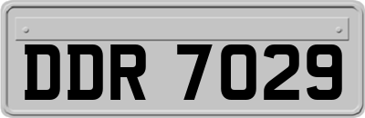 DDR7029