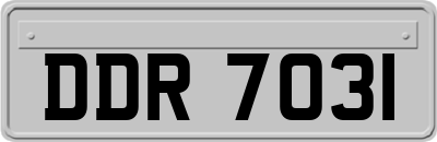 DDR7031