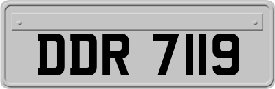DDR7119