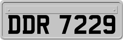 DDR7229