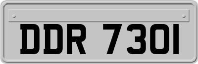 DDR7301