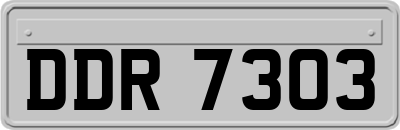 DDR7303