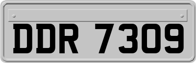 DDR7309