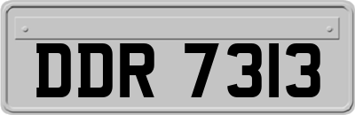 DDR7313