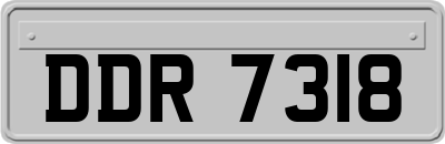 DDR7318